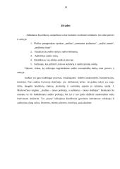 Auditas, jo svarba ir būtinumas 13 puslapis