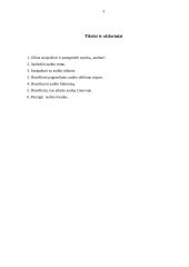 Auditas, jo svarba ir būtinumas 2 puslapis