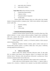 Auditas, jo svarba ir būtinumas 6 puslapis