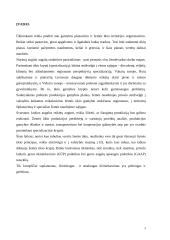 Žemės dirbimo ir sėjos būdai 2 puslapis