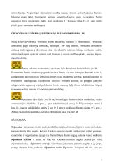 Žemės dirbimo ir sėjos būdai 4 puslapis