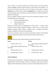 Žemės dirbimo ir sėjos būdai 5 puslapis