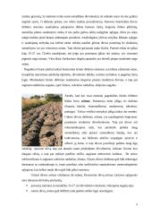 Žemės dirbimo ir sėjos būdai 7 puslapis