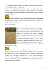 Žemės dirbimo ir sėjos būdai 8 puslapis