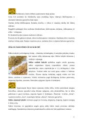 Žemės dirbimo ir sėjos būdai 10 puslapis