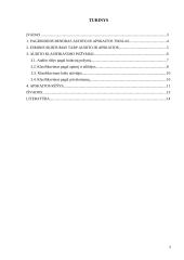 Audito ir apskaitos rūšys 2 puslapis