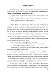 Audito ir apskaitos rūšys 11 puslapis