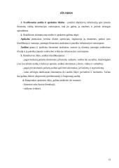Audito ir apskaitos rūšys 13 puslapis