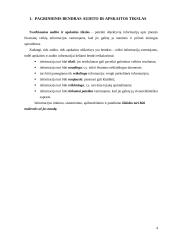 Audito ir apskaitos rūšys 4 puslapis