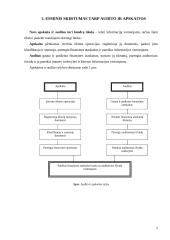 Audito ir apskaitos rūšys 5 puslapis