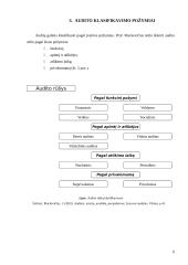 Audito ir apskaitos rūšys 6 puslapis