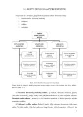 Audito ir apskaitos rūšys 7 puslapis