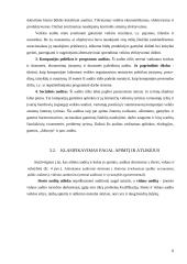 Audito ir apskaitos rūšys 8 puslapis