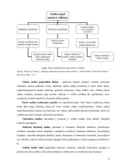Audito ir apskaitos rūšys 9 puslapis