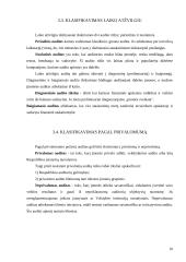 Audito ir apskaitos rūšys 10 puslapis