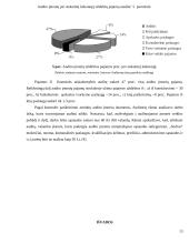 Auditorius - fizinis ir juridinis asmuo 12 puslapis