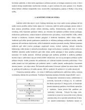 Auditorius - fizinis ir juridinis asmuo 4 puslapis