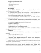 Auditorius - fizinis ir juridinis asmuo 6 puslapis