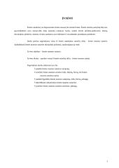 Žemės nuomos sutartys 3 puslapis