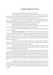 Žemės nuomos sutartys 4 puslapis