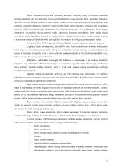 Žemės nuomos sutartys 5 puslapis