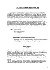 Kryžmažiedžiai augalai 3 puslapis