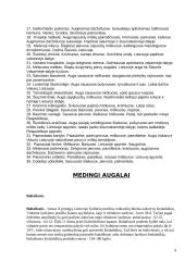 Kryžmažiedžiai augalai 9 puslapis