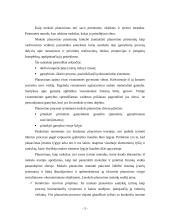 Žemės ūkio verslo organizavimas ir planavimas 4 puslapis