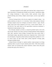 Žieminiai kvietrugiai 8 puslapis