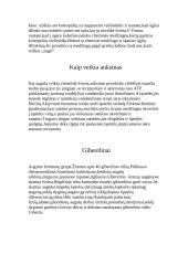 Augalų augimą slopinantys hormonai 5 puslapis
