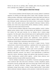 Auklėjamieji šeimos uždaviniai 6 puslapis