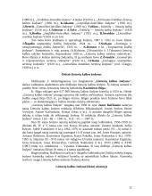 Žodynai ir jų tipai 12 puslapis