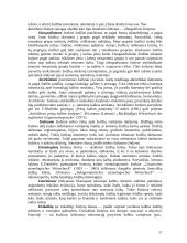 Žodynai ir jų tipai 17 puslapis