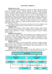 Auklėjimo metodai ir jų pritaikymo galimybės 2 puslapis