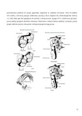Automatinės pavarų dėžės - veikimas, privalumai, trūkumai 14 puslapis
