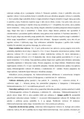 Automatinės pavarų dėžės - veikimas, privalumai, trūkumai 16 puslapis