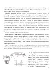 Automatinės pavarų dėžės - veikimas, privalumai, trūkumai 17 puslapis