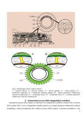 Automatinės pavarų dėžės - veikimas, privalumai, trūkumai 8 puslapis