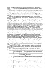 Automobilio ekonomiškumas 11 puslapis