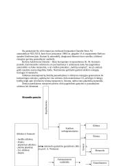 Automobilio ekonomiškumas 12 puslapis