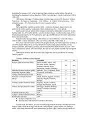 Automobilio ekonomiškumas 7 puslapis