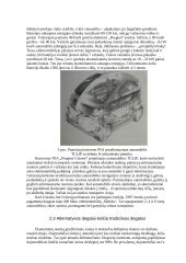 Automobilio ekonomiškumas 10 puslapis