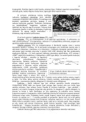 Bakteriniai toksinai 13 puslapis