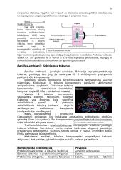 Bakteriniai toksinai 16 puslapis