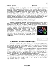 Bakteriniai toksinai 17 puslapis