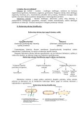 Bakteriniai toksinai 3 puslapis