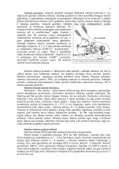 Bakteriniai toksinai 5 puslapis
