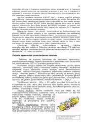 Bakteriniai toksinai 10 puslapis