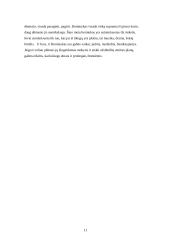 Septintoko mokinio charakteristika 11 puslapis