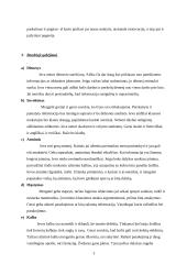 Septintoko mokinio charakteristika 3 puslapis